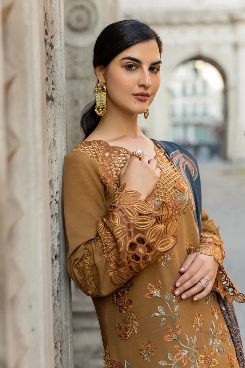 Rang Rasiya Carnation Fall/Winter with Shawl – Autumn