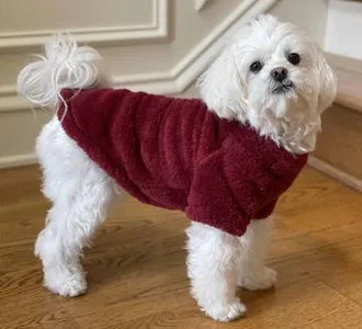 Soft Plush Dog Pullover - Lavender