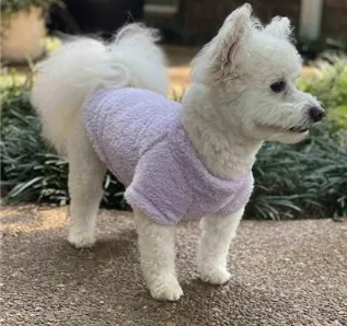 Soft Plush Dog Pullover - Lavender